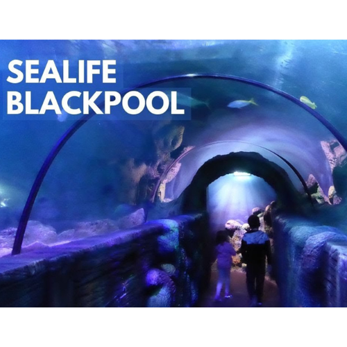 Sealife Blackpool